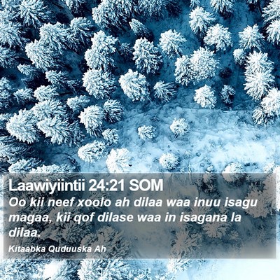 Laawiyiintii 24:21 SOM Bible Verse Image