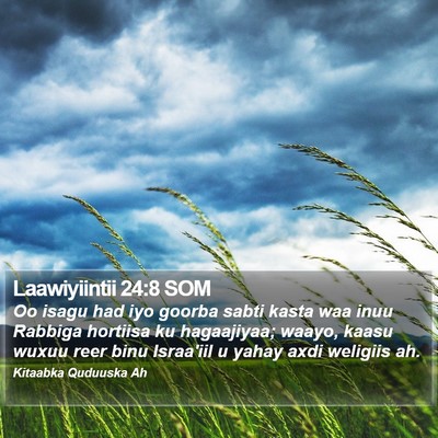 Laawiyiintii 24:8 SOM Bible Verse Image