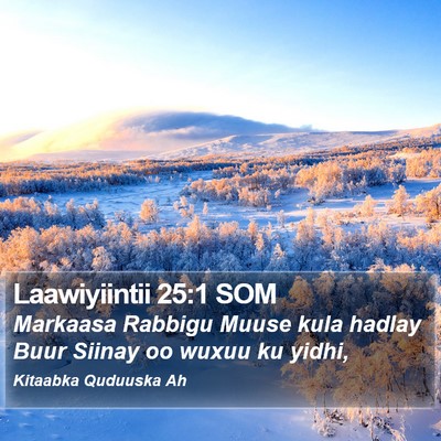 Laawiyiintii 25:1 SOM Bible Verse Image