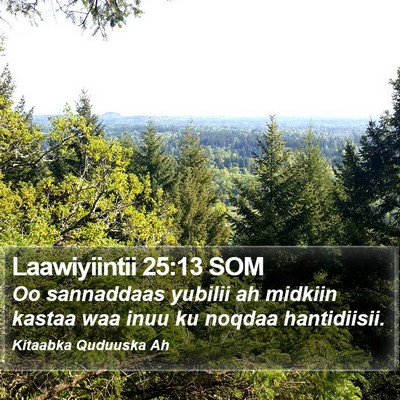 Laawiyiintii 25:13 SOM Bible Verse Image