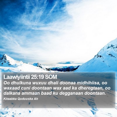Laawiyiintii 25:19 SOM Bible Verse Image
