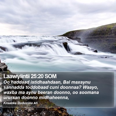 Laawiyiintii 25:20 SOM Bible Verse Image