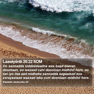 Laawiyiintii 25:22 SOM Bible Verse Image