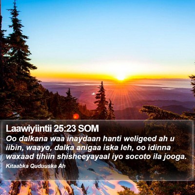Laawiyiintii 25:23 SOM Bible Verse Image