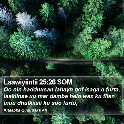 Laawiyiintii 25:26 SOM Bible Verse Image