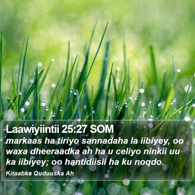 Laawiyiintii 25:27 SOM Bible Verse Image