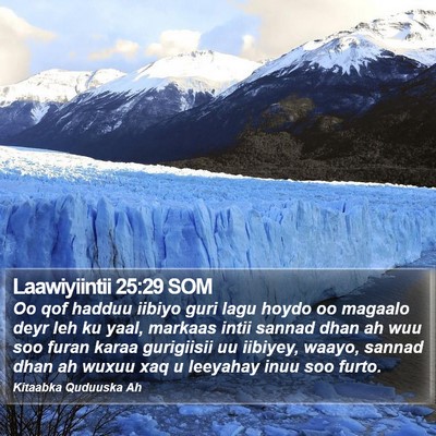 Laawiyiintii 25:29 SOM Bible Verse Image
