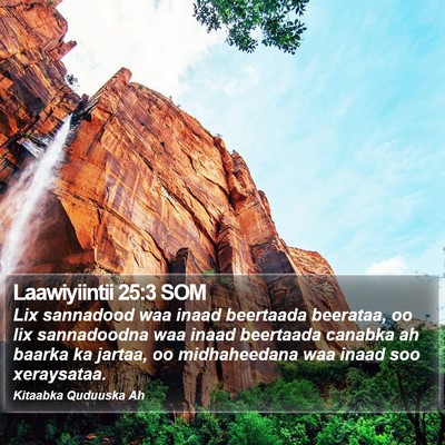 Laawiyiintii 25:3 SOM Bible Verse Image