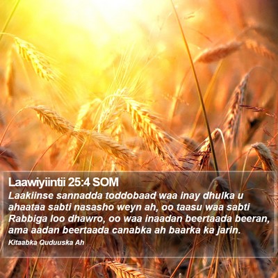 Laawiyiintii 25:4 SOM Bible Verse Image
