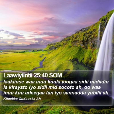 Laawiyiintii 25:40 SOM Bible Verse Image