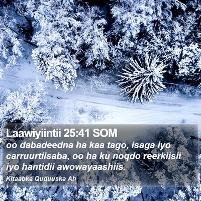 Laawiyiintii 25:41 SOM Bible Verse Image