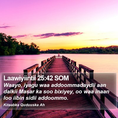 Laawiyiintii 25:42 SOM Bible Verse Image