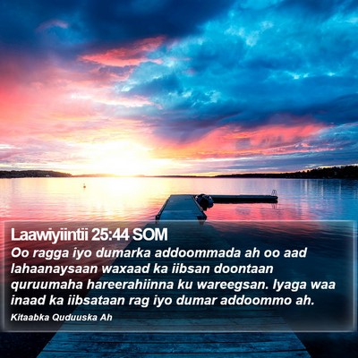 Laawiyiintii 25:44 SOM Bible Verse Image