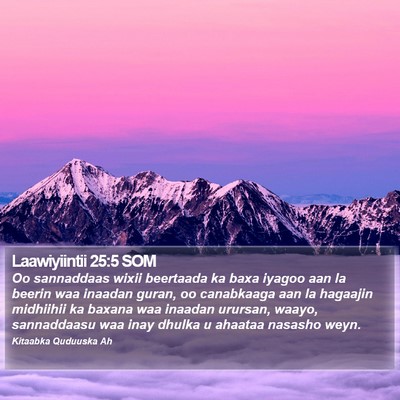 Laawiyiintii 25:5 SOM Bible Verse Image