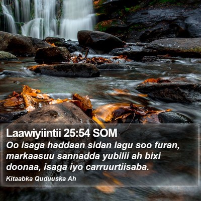 Laawiyiintii 25:54 SOM Bible Verse Image