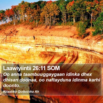 Laawiyiintii 26:11 SOM Bible Verse Image