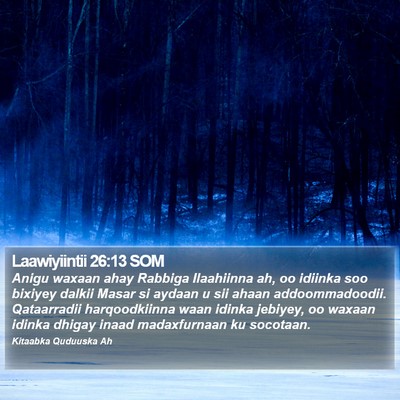 Laawiyiintii 26:13 SOM Bible Verse Image