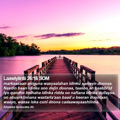 Laawiyiintii 26:16 SOM Bible Verse Image