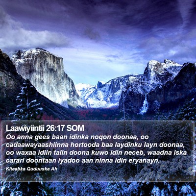 Laawiyiintii 26:17 SOM Bible Verse Image