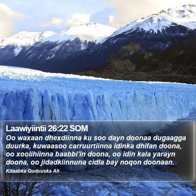 Laawiyiintii 26:22 SOM Bible Verse Image