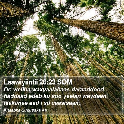 Laawiyiintii 26:23 SOM Bible Verse Image