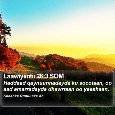 Laawiyiintii 26:3 SOM Bible Verse Image