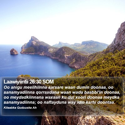 Laawiyiintii 26:30 SOM Bible Verse Image