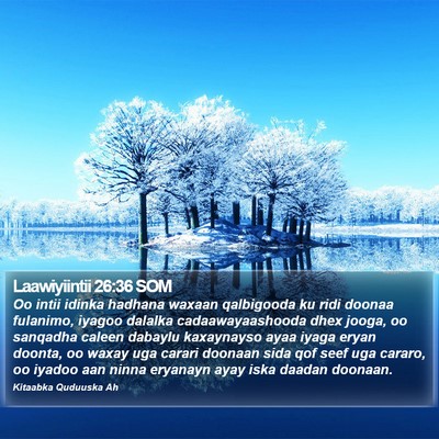 Laawiyiintii 26:36 SOM Bible Verse Image
