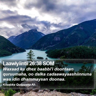 Laawiyiintii 26:38 SOM Bible Verse Image