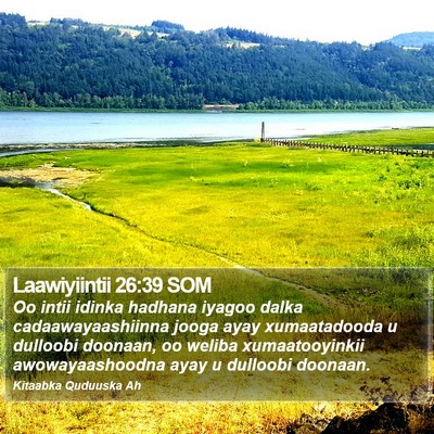 Laawiyiintii 26:39 SOM Bible Verse Image