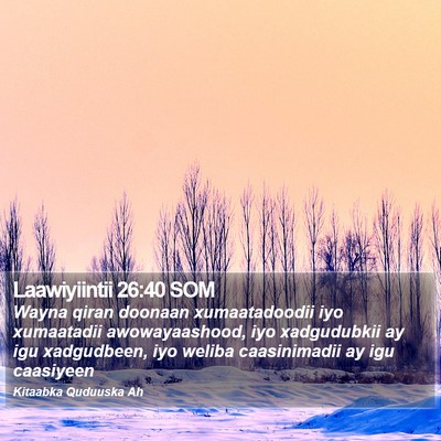 Laawiyiintii 26:40 SOM Bible Verse Image