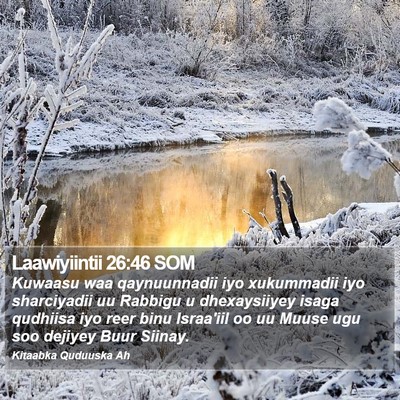 Laawiyiintii 26:46 SOM Bible Verse Image