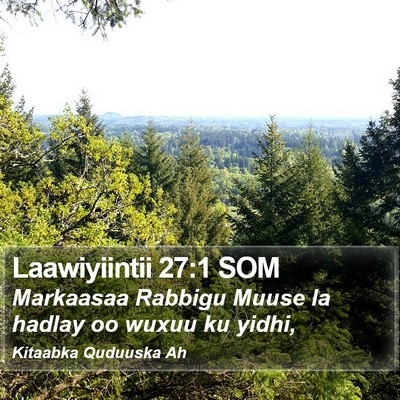 Laawiyiintii 27:1 SOM Bible Verse Image