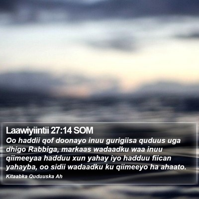Laawiyiintii 27:14 SOM Bible Verse Image