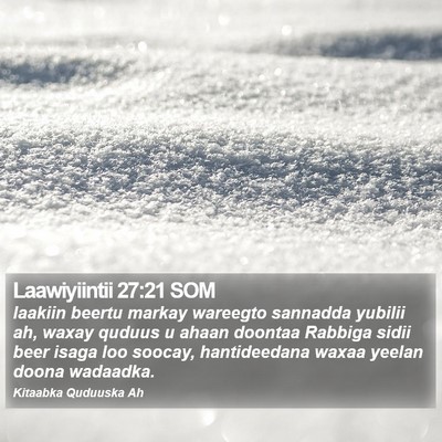 Laawiyiintii 27:21 SOM Bible Verse Image