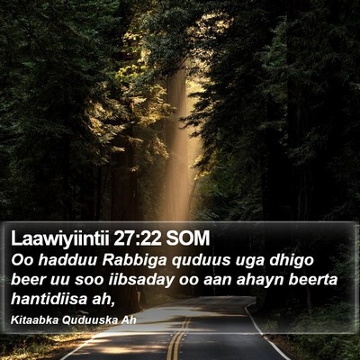 Laawiyiintii 27:22 SOM Bible Verse Image