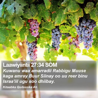 Laawiyiintii 27:34 SOM Bible Verse Image