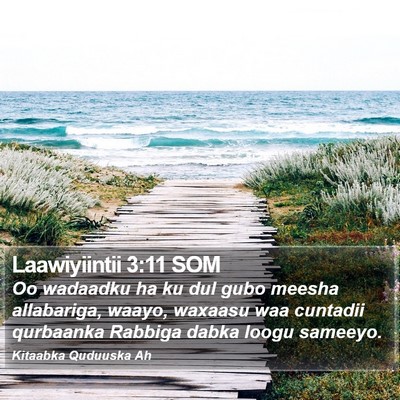 Laawiyiintii 3:11 SOM Bible Verse Image
