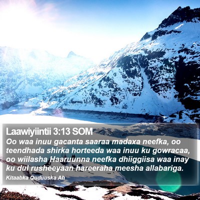 Laawiyiintii 3:13 SOM Bible Verse Image