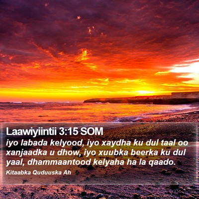 Laawiyiintii 3:15 SOM Bible Verse Image