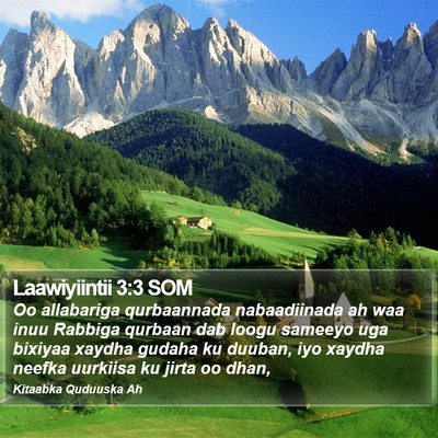 Laawiyiintii 3:3 SOM Bible Verse Image