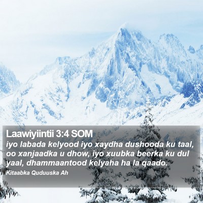 Laawiyiintii 3:4 SOM Bible Verse Image