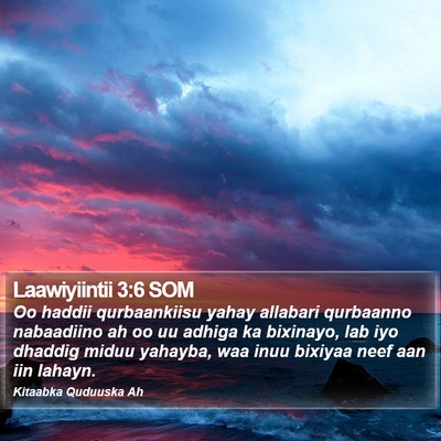Laawiyiintii 3:6 SOM Bible Verse Image