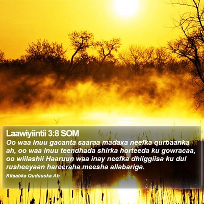 Laawiyiintii 3:8 SOM Bible Verse Image