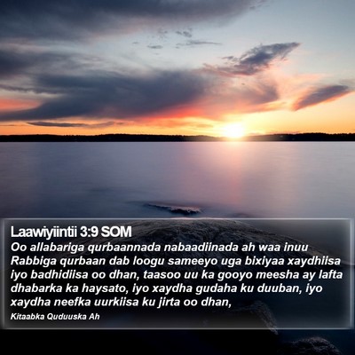 Laawiyiintii 3:9 SOM Bible Verse Image