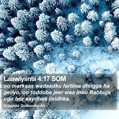 Laawiyiintii 4:17 SOM Bible Verse Image