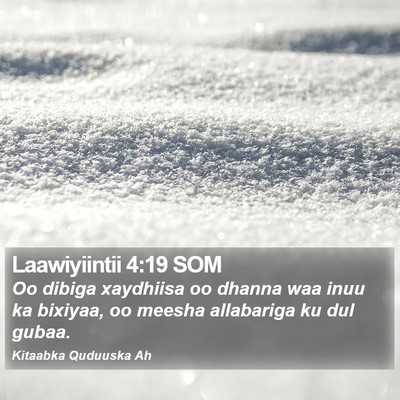 Laawiyiintii 4:19 SOM Bible Verse Image