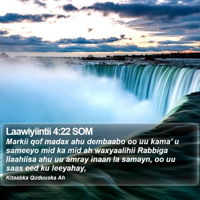 Laawiyiintii 4:22 SOM Bible Verse Image