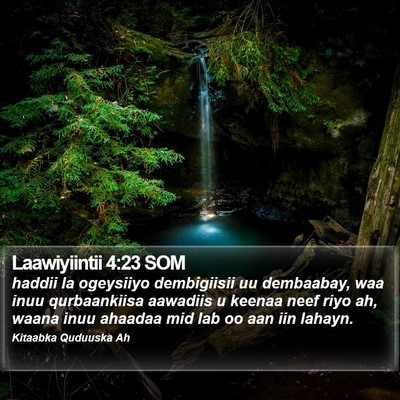 Laawiyiintii 4:23 SOM Bible Verse Image