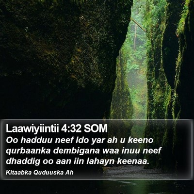 Laawiyiintii 4:32 SOM Bible Verse Image